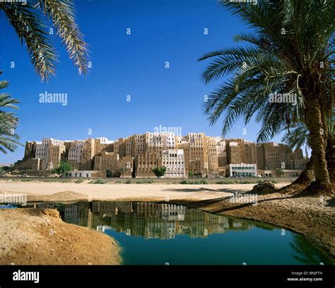 Yemen February 2005 Hadhramaut valley Shibam city UNESCO World heritage site water palm trees ...