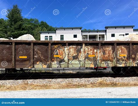 Construction Freight Train Skull Graffiti Editorial Photo - Image of ...