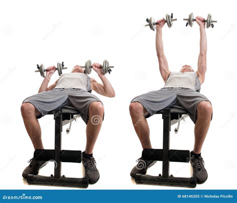 Dumbbell Chest Press stock image. Image of body, dumbbells - 68146205