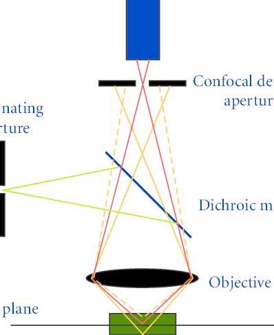 The principles of optical system of the scanning confocal microscope.... | Download Scientific ...