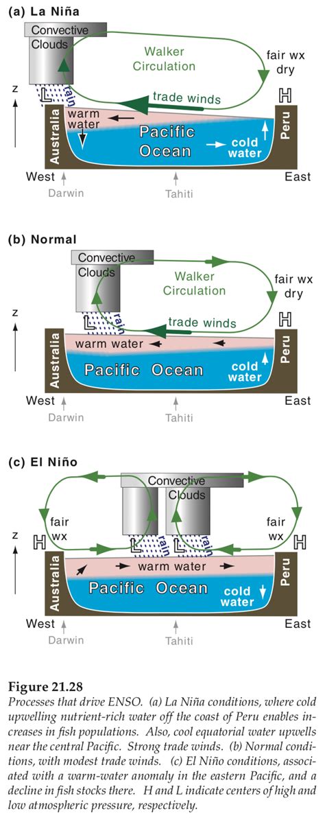 The Walker Cell and ENSO