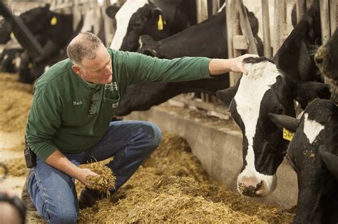 Evolving Sustainable Dairy Farming Practices | U.S. Dairy