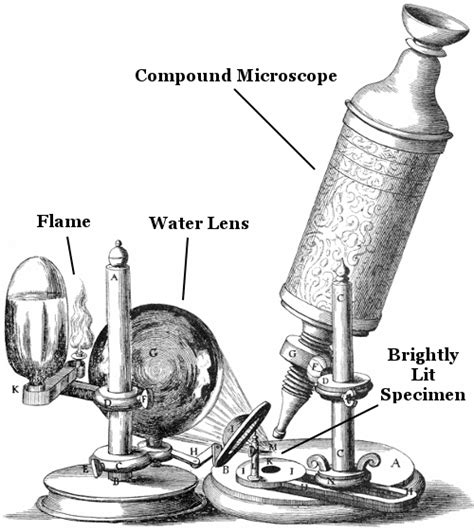 Robert Hooke's Compound Microscope | Robert Hooke | Pinterest | Antique prints