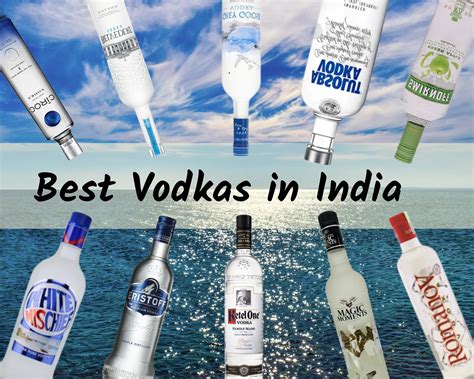 New Vodka Brands 2024 In India - Dulce Glenine