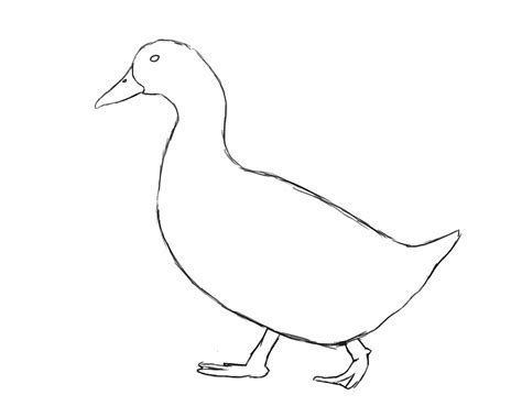 Easy Duck Drawing at GetDrawings | Free download