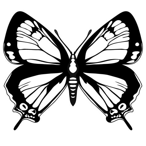 Free Butterflies Black And White Outline, Download Free Butterflies Black And White Outline png ...