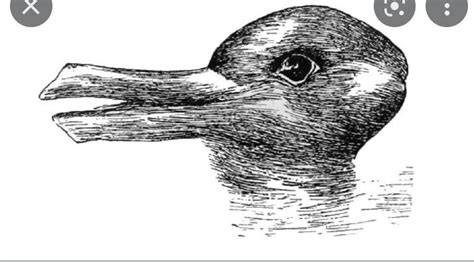 Is this a duck or rabbit : r/opticalillusions