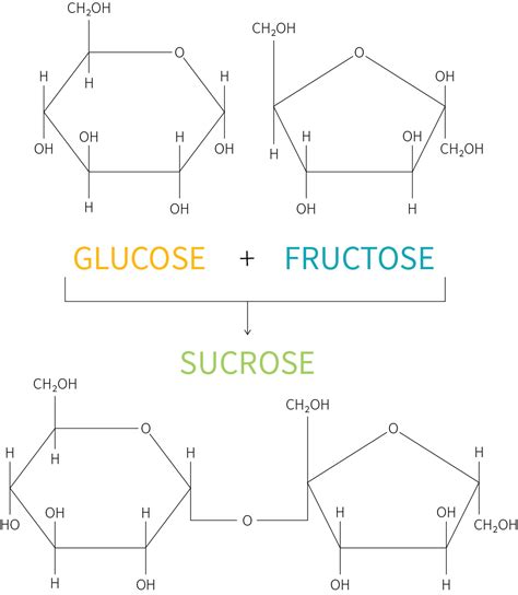 What is the difference between high fructose corn syrup (HFCS) and ...