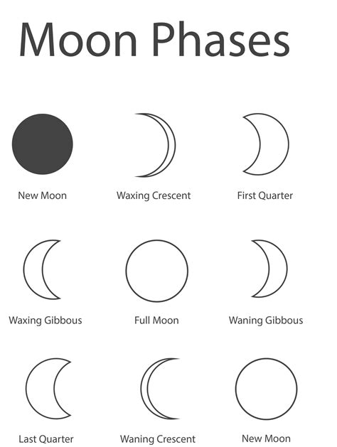 Moon Phases Coloring Sheets | Etsy | Moon for kids, Moon coloring pages, Moon phases