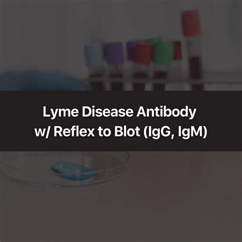 Lyme Disease Antibody w/Reflex to Blot (IgG, IgM) - Wittmer ...