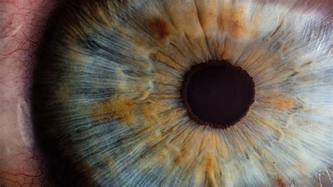 Scientists develop nano-scale robot that 'drills' into eyes without damaging them | TechRadar