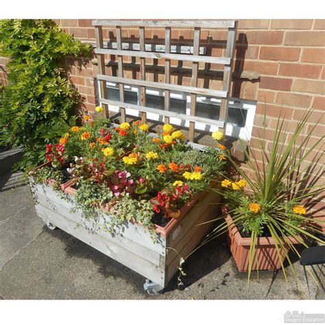 Trellis Planter - Designs For Education