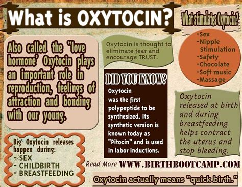 Oxytocin - Birth Boot Camp® Amazing Childbirth Education Classes