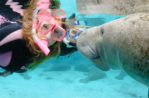 This was the best day ever! Three Sisters Springs, Crystal River, FL | Swimming with manatees ...