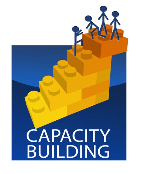 capacity building | Capacity building, Small business organization ...