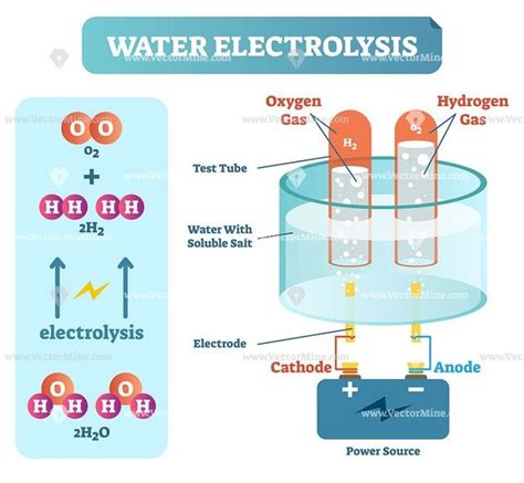 Water electrolysis process scientific chemistry diagram - VectorMine ...