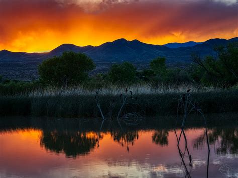 A Summer Evening in the Bosque del Apache - In Light of Nature