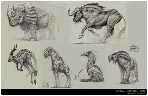 Hybrid Animals Drawings