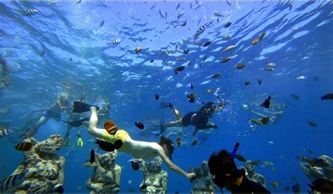 Gili Private Snorkeling Tour - Lombok Day Tour