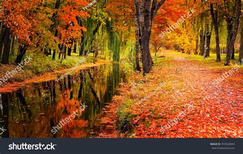 1,010,085 Autumn river Images, Stock Photos & Vectors | Shutterstock