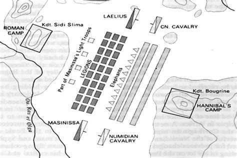 Battle of Zama - The great roman army