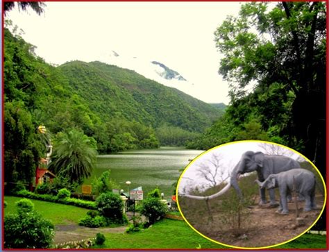 The Geo-Heritage Site of India and world known Fossils Park-Saketi Fossil park or "Shivalik ...