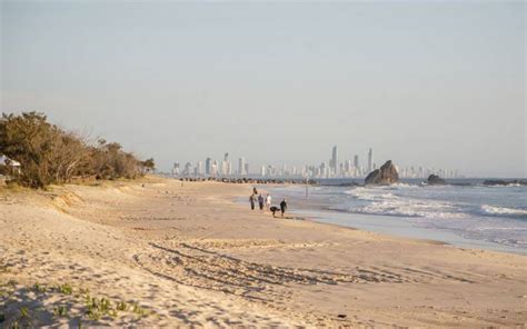 Currumbin Beach / Gold Coast / Queensland // World Beach Guide