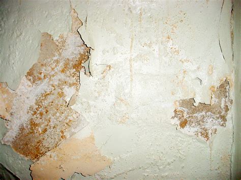 Cracked Plaster Texture by StooStock on DeviantArt
