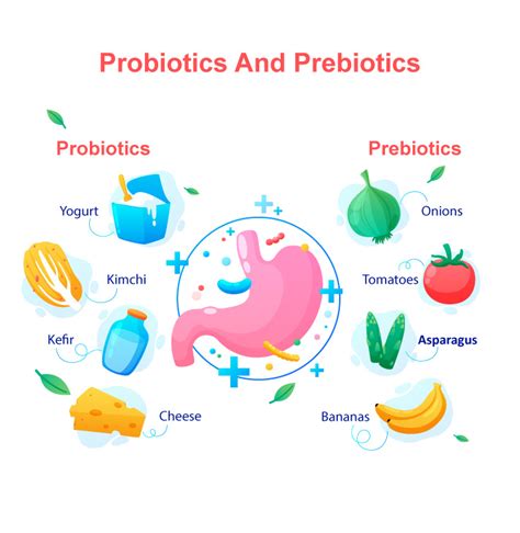 Gut-Friendly Foods: What are Prebiotics and Probiotics and How Can They ...