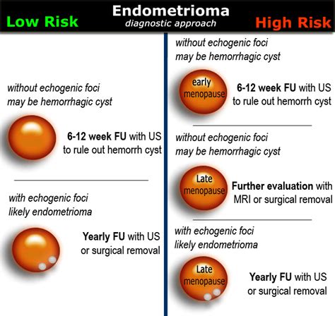 Liver Cyst Size Chart In Mm