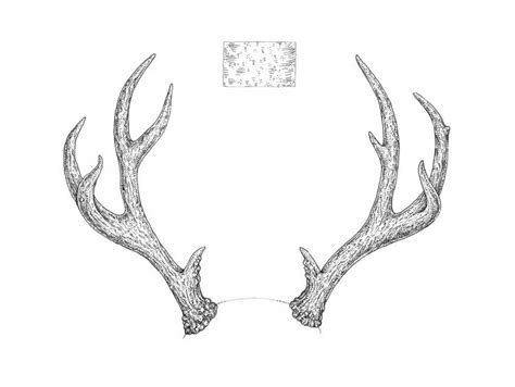 How to Draw Antlers Step by Step