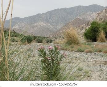350 Iranian plateau Images, Stock Photos & Vectors | Shutterstock