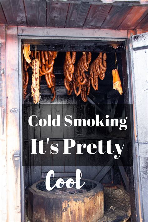 Cold Smoking - a Guide for Getting Started | Cured meat recipes, Smoked cooking, Smoked food recipes