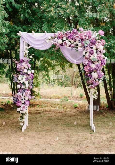 Wedding ceremony. Purple wedding arch with white roses and violet ...