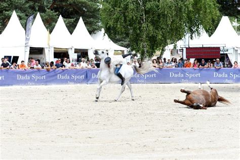 Horse dressage show editorial stock photo. Image of beautiful - 96185663