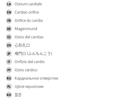 Cardiac orifice - e-Anatomy - IMAIOS