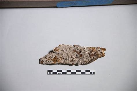 Alamo Archeologists Find More than 1,700 Artifacts in 4 Weeks | The Daily