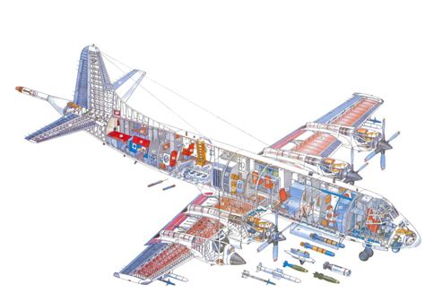 Lockheed P-3 Orion Cutaway Drawing in High quality