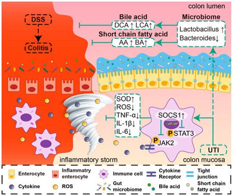 Antioxidants | An Open Access Journal from MDPI