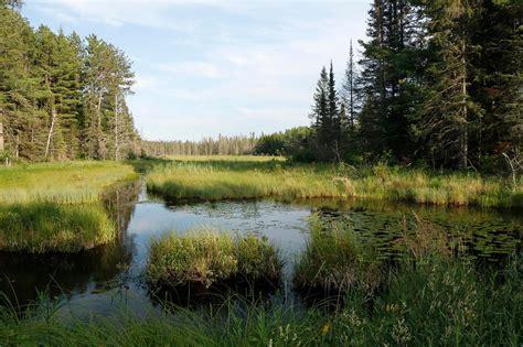 Hardwood Transition / Lower Great Lakes / St. Lawrence Plain - Ontario ...