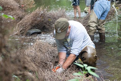 Volunteers turn out for Mill River project - Nutmeg Chapter Trout Unlimited