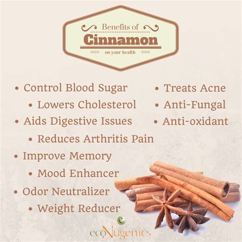 Infographic: Benefits of Cinnamon | ecoNugenics Blog