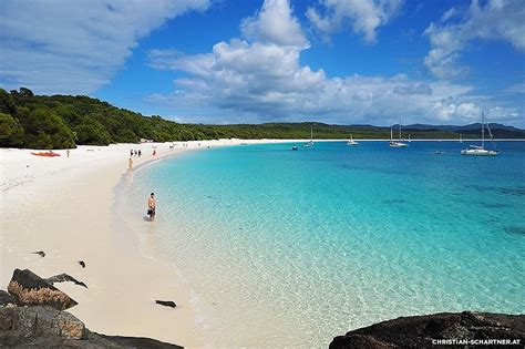 Camping on Whitehaven beach, Whitsundays, Queensland Australia ...