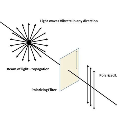 Blocking of polarized light by use of second polarizer film. Wave... | Download Scientific Diagram