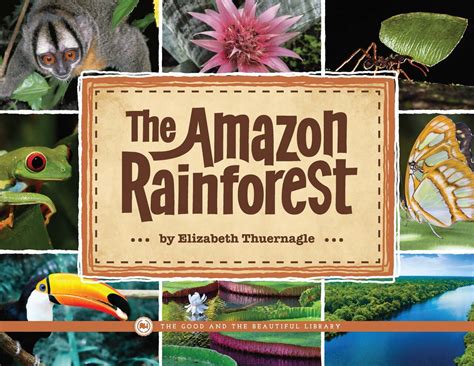 Amazon Rainforest Poster