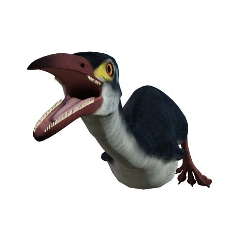 hesperornis pájaro prehistórico aislado 19045265 PNG