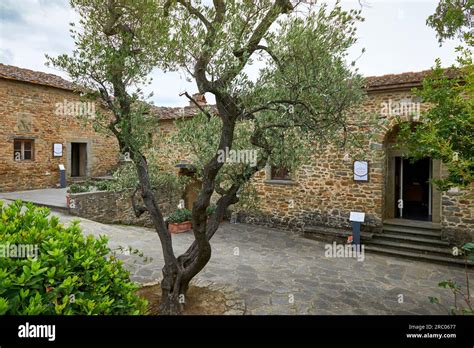 Birthplace of Leonardo da Vinci, Tuscany Stock Photo - Alamy