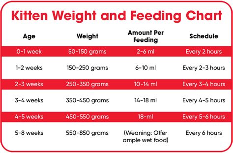 Kitten Age Weight Chart