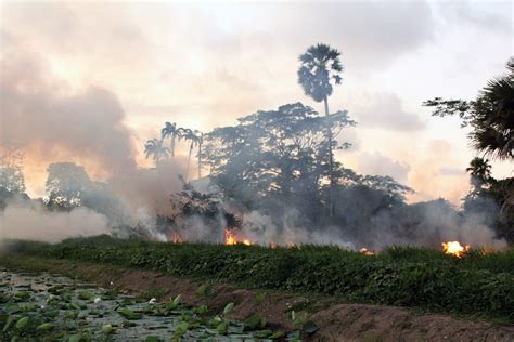 Another brush fire – Stabroek News