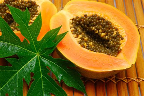 Papaya Leaf Benefits, Uses and Medicinal Properties | Best Herbal Health